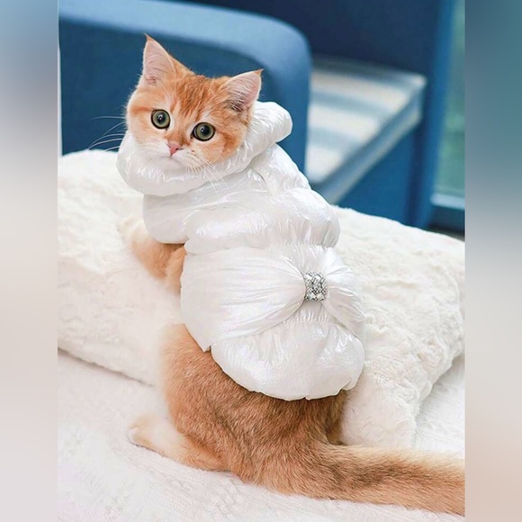 🛍️BOGO🛍️Iridescent Pink Dog Puffer Jacket | Sleeveless | Crystal Bow | S | New - Picture 5 of 11